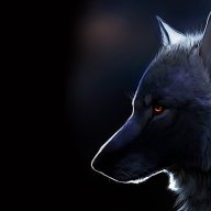 Lonewolf676