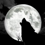 Erika True-Wolf