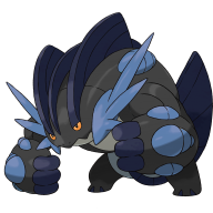 PokeShadow