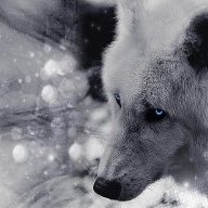 IcE_WoLf