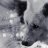 IcE_WoLf